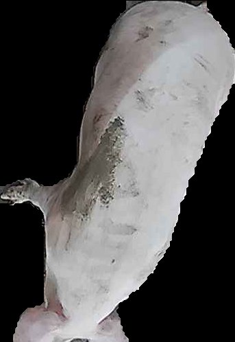 Crop
