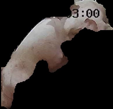 Crop