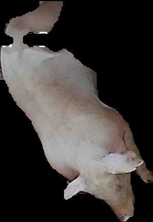 Crop