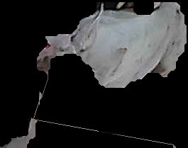 Crop