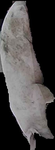Crop