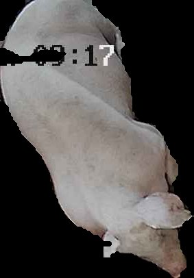Crop