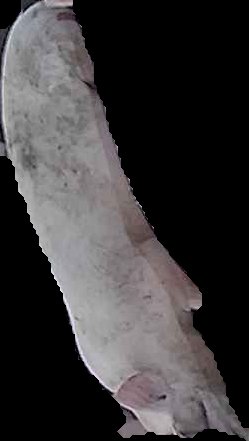 Crop