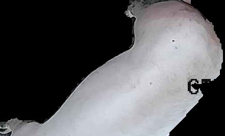 Crop