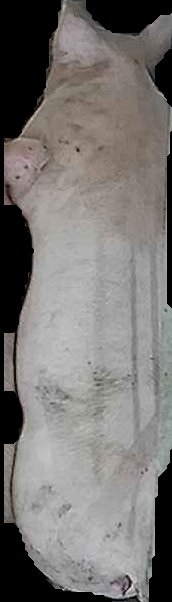 Crop