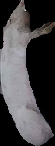 Crop