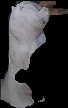 Crop