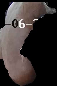 Crop