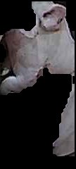 Crop