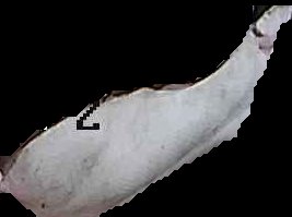 Crop