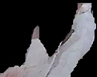 Crop