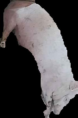 Crop