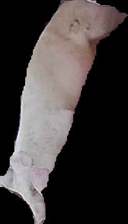 Crop