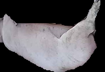 Crop