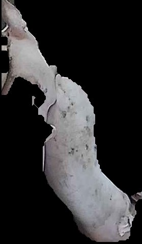 Crop