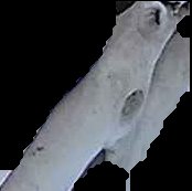 Crop