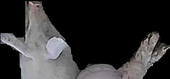 Crop