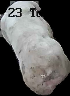 Crop