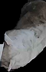 Crop