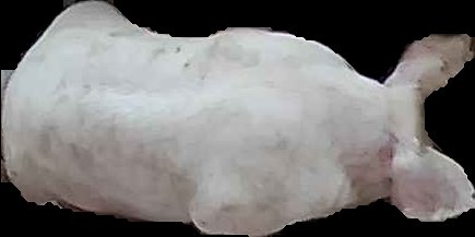 Crop