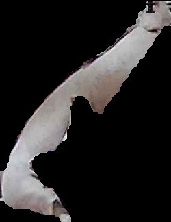 Crop