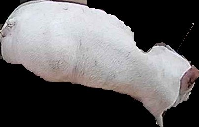 Crop
