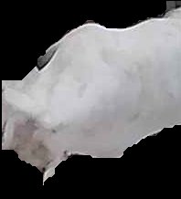 Crop