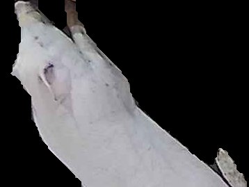 Crop