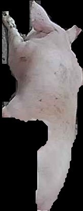 Crop