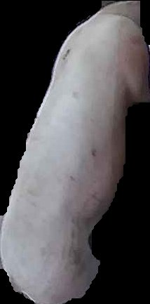 Crop