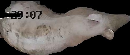 Crop