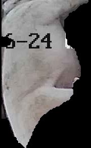 Crop