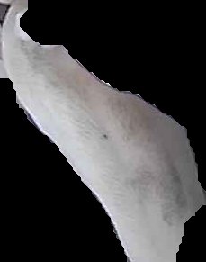 Crop