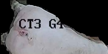 Crop