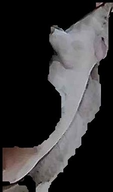 Crop