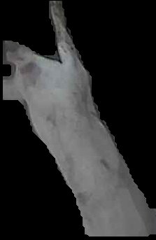 Crop