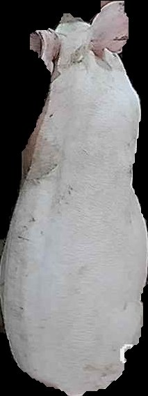 Crop