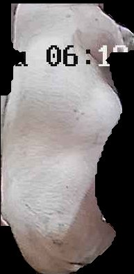 Crop