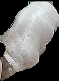 Crop