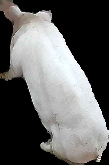 Crop