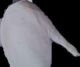 Crop