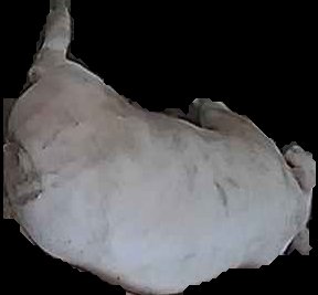 Crop
