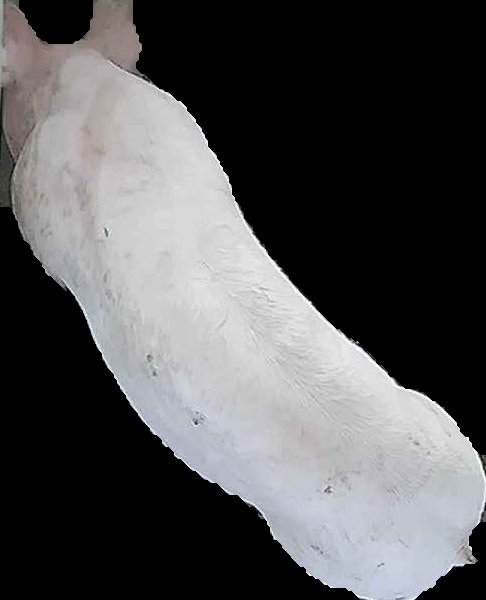 Crop