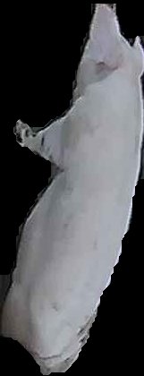 Crop