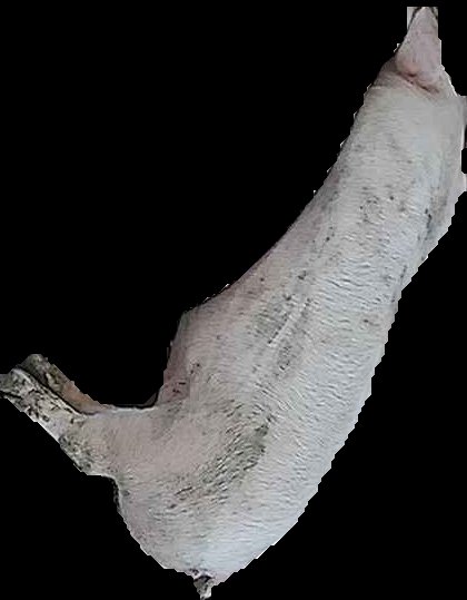 Crop
