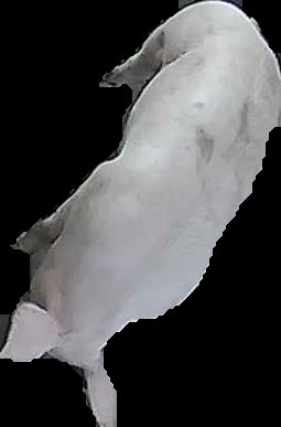 Crop