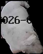 Crop
