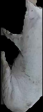 Crop