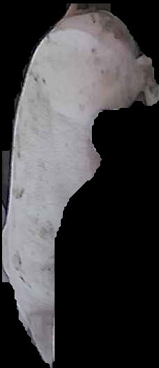 Crop