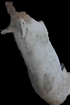 Crop